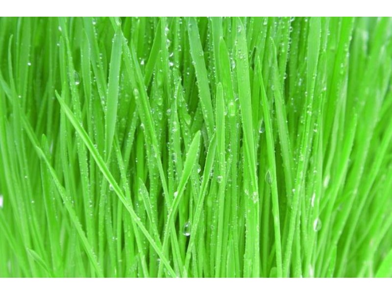 Carrum Downs VIC 3201