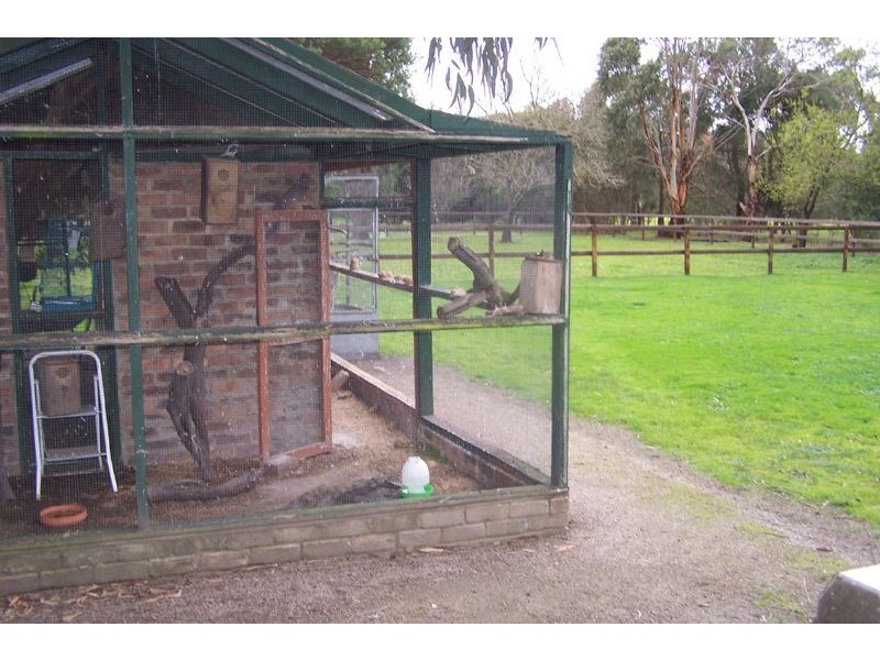 146 Bungower Road, Somerville VIC 3912