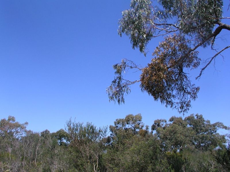 26 – 32 Sweet Wattle Drive, Pearcedale VIC 3912