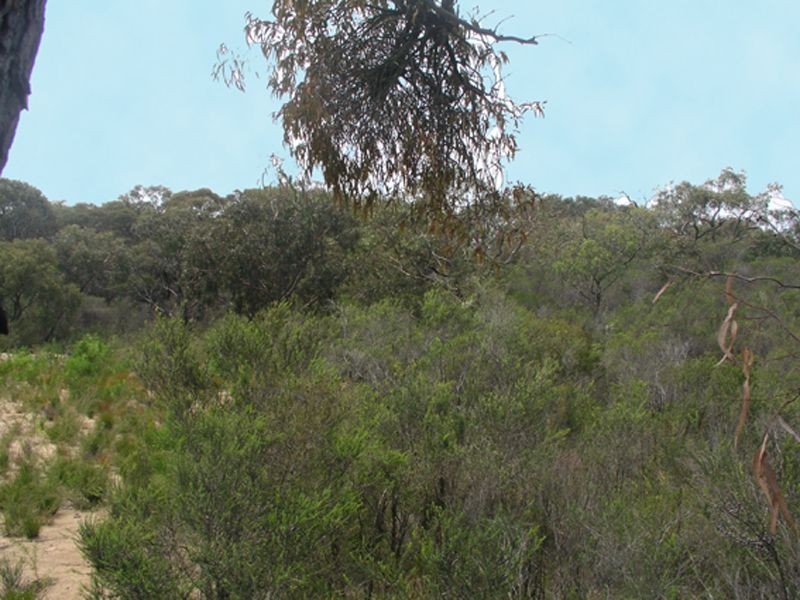 26 – 32 Sweet Wattle Drive, Pearcedale VIC 3912