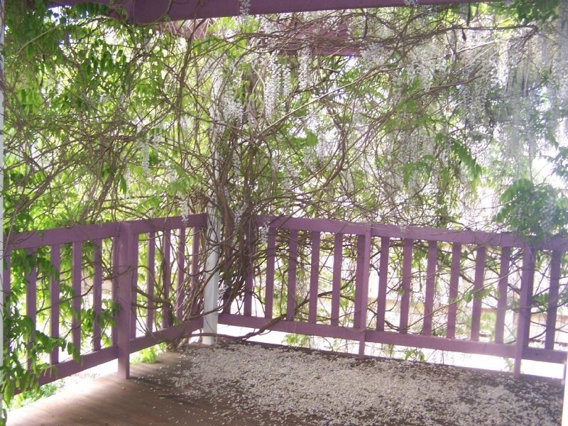 8 Iluka Court, Mornington VIC 3931