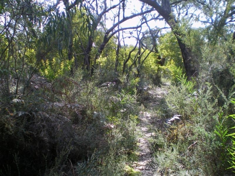 100 Donald Road, Langwarrin VIC 3910