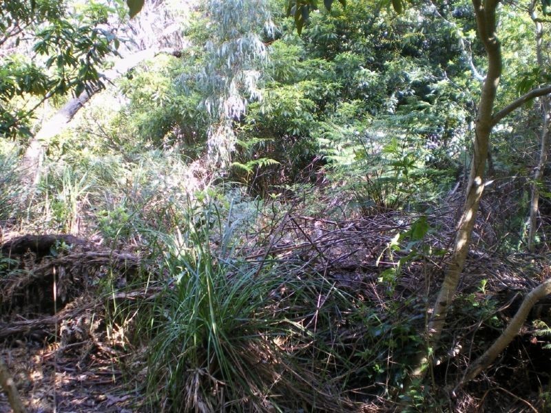 100 Donald Road, Langwarrin VIC 3910