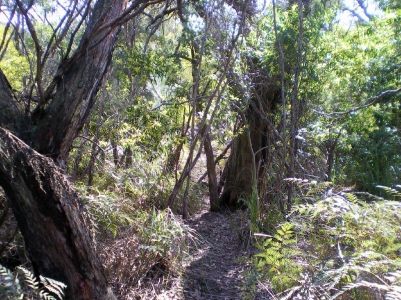 100 Donald Road, Langwarrin VIC 3910