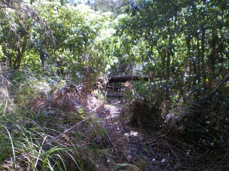 100 Donald Road, Langwarrin VIC 3910