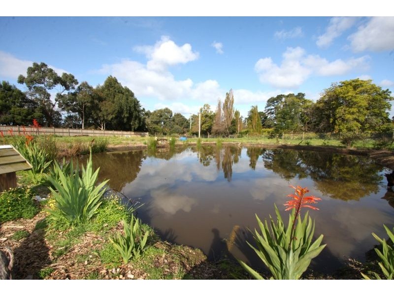 107 Bungower Rd, Somerville VIC 3912