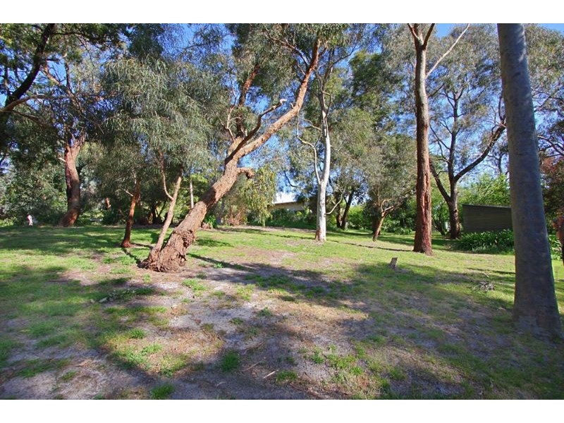 55 Union Road, Langwarrin VIC 3910