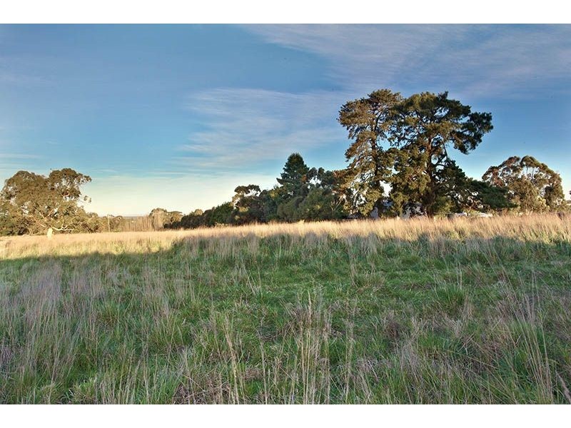 82 Grant Road, Somerville VIC 3912