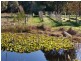 105 Tyabb-Tooradin Road, Somerville VIC 3912