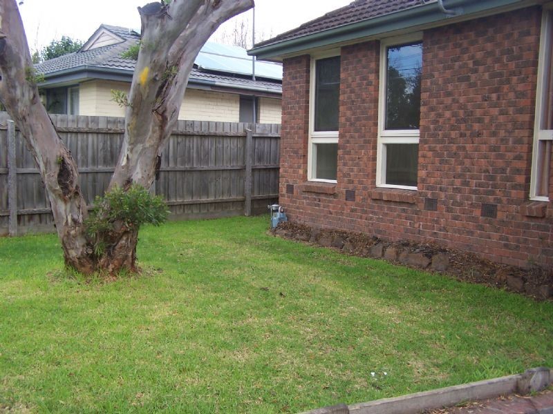 163 Warrandyte Rd, Langwarrin VIC 3910