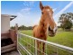 63 Lower Somerville Road, Somerville VIC 3912