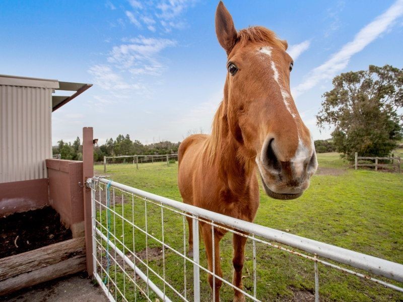 63 Lower Somerville Road, Somerville VIC 3912
