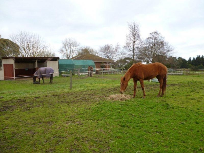 63 Lower Somerville Road, Somerville VIC 3912