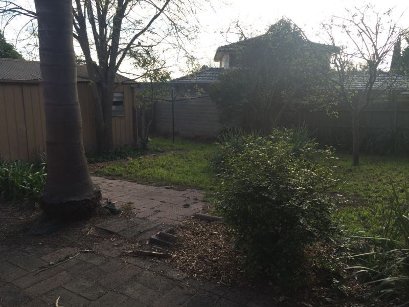 5 Amber Avenue, Frankston VIC 3199