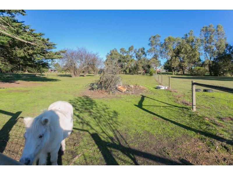 12 Clifford Drive, Tyabb VIC 3913