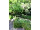 2 David Close, Somerville VIC 3912