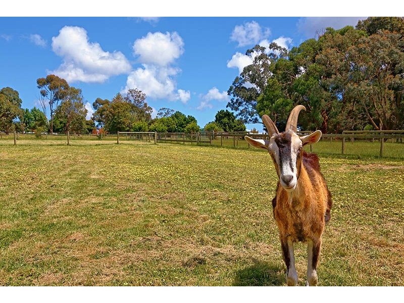 94 Guelph Street, Somerville VIC 3912