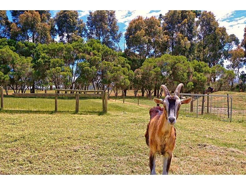 94 Guelph Street, Somerville VIC 3912