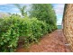 145 Clarendon Drive, Somerville VIC 3912