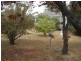 31 Castlebar Road, Malvern East VIC 3145