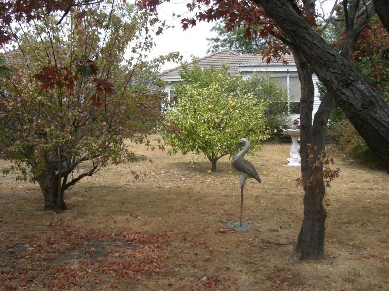 31 Castlebar Road, Malvern East VIC 3145