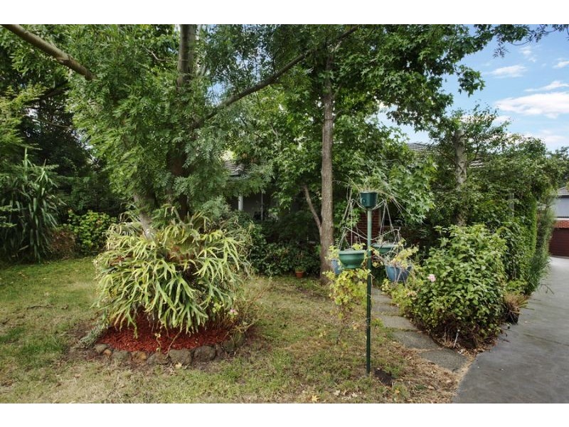 1/36 Cratloe Road, Mount Waverley VIC 3149