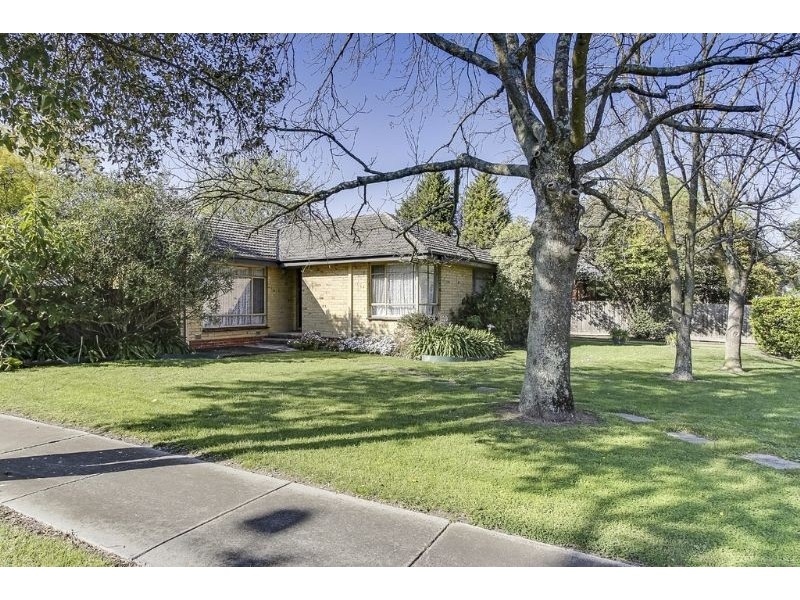 53 Botanic Drive, Glen Waverley VIC 3150