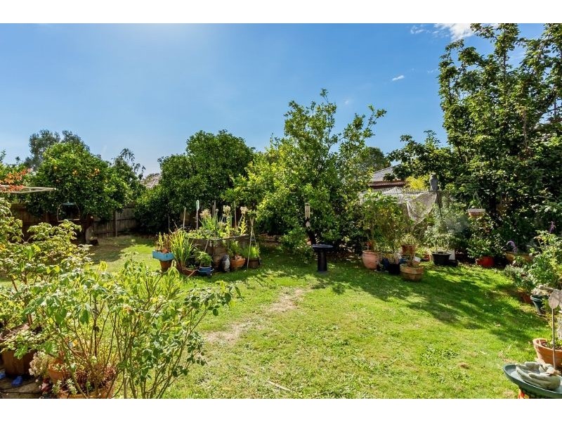 34 Kauri Grove, Glen Waverley VIC 3150