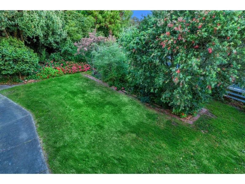 4 Doorawarrah Court, Mount Waverley VIC 3149