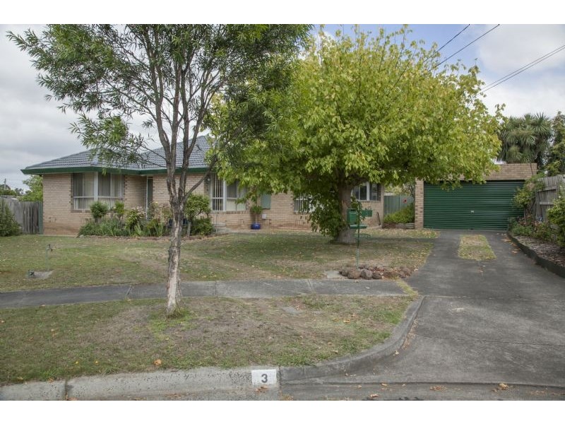 3 Mandala Court, Mulgrave VIC 3170