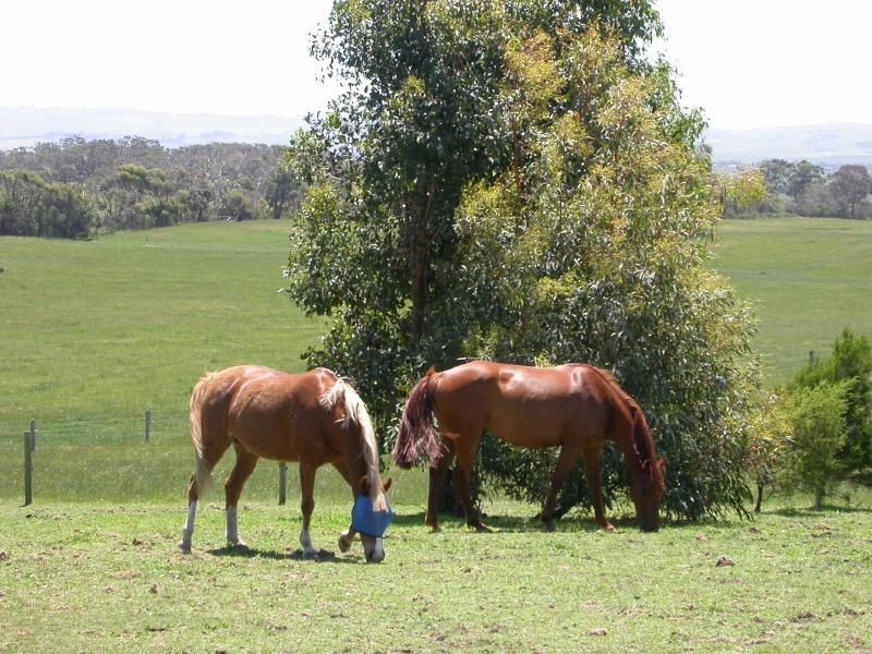 Inverloch VIC 3996