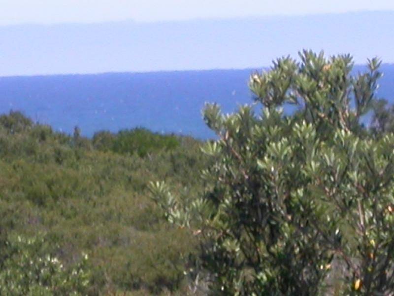 Cape Paterson VIC 3995