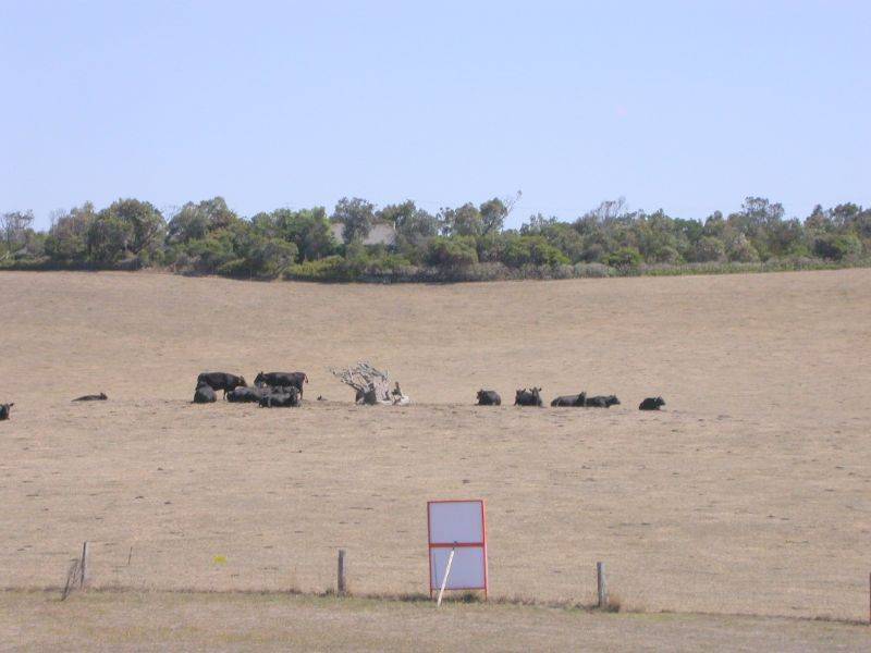 Kilcunda VIC 3995