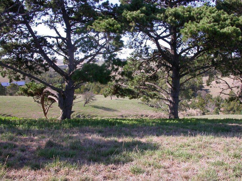 Wonthaggi VIC 3995