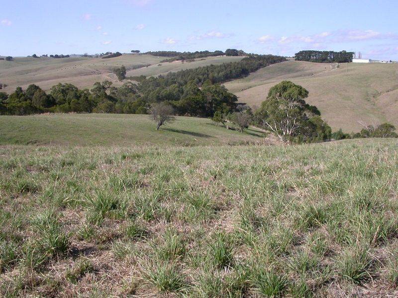 Wonthaggi VIC 3995