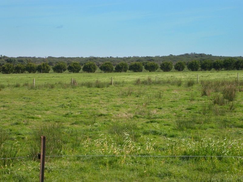 Lot 1 Manuka Lane, Harmers Haven VIC 3995