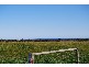 Harmers Haven VIC 3995