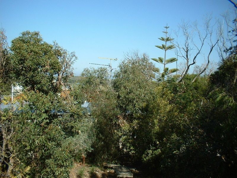 Cape Paterson VIC 3995