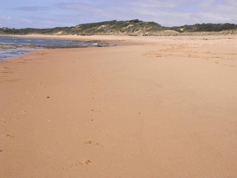 Harmers Haven VIC 3995