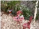Wonthaggi VIC 3995