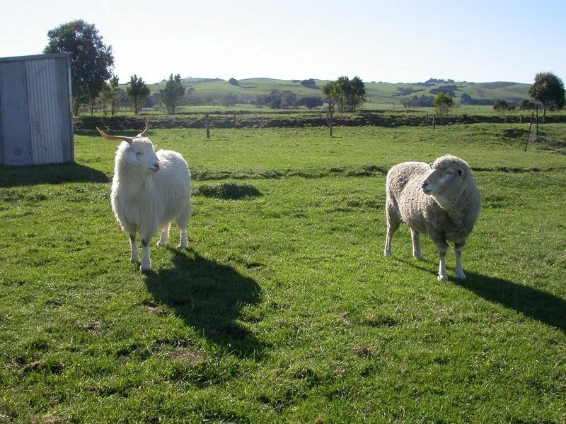 Wonthaggi VIC 3995