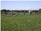 Wonthaggi VIC 3995