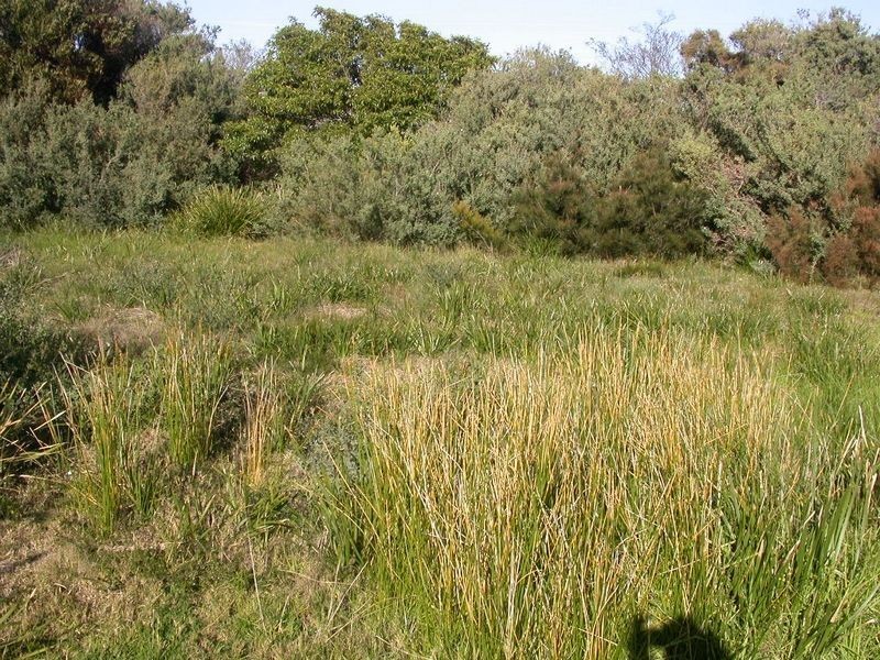 Cape Paterson VIC 3995