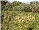 Cape Paterson VIC 3995