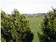 Dalyston VIC 3992