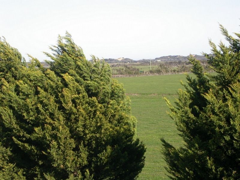 Dalyston VIC 3992