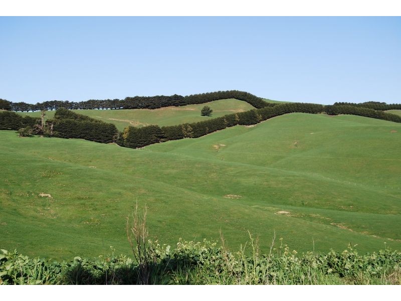 Wonthaggi VIC 3995
