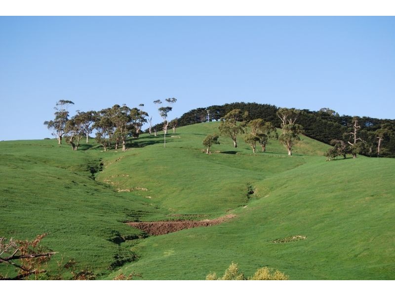 Wonthaggi VIC 3995