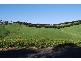 Wonthaggi VIC 3995