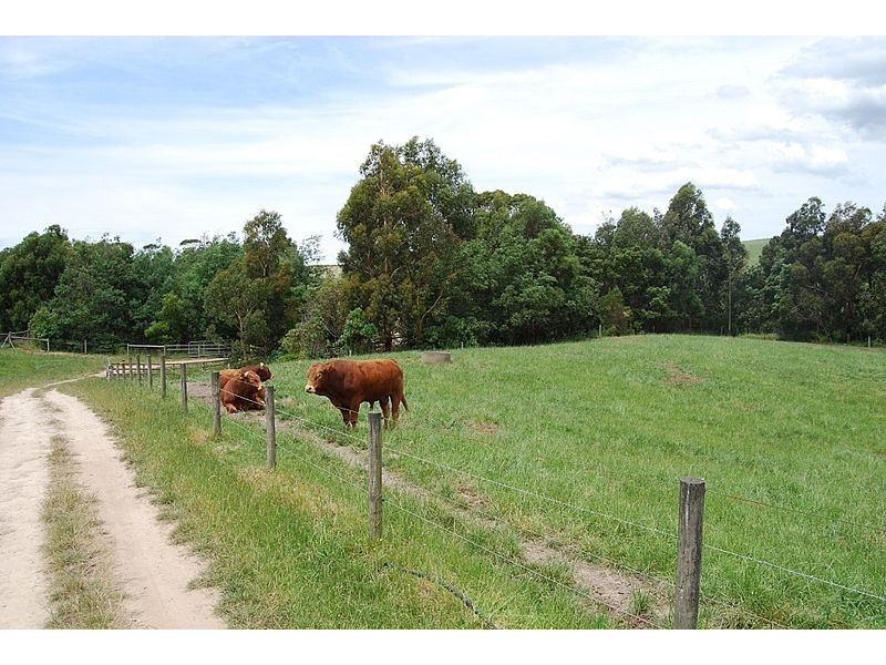 30 Koetsveldt Road, Wonthaggi VIC 3995